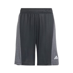 Обычные тренировочные брюки Adidas, черный