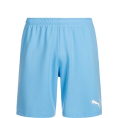 Обычные тренировочные брюки Puma, светло-синий