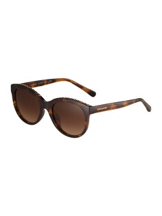 Солнечные очки COACH 0HC8297U, карамель/темно-коричневый