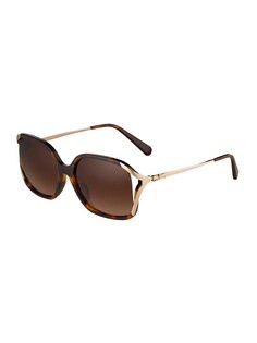 Солнечные очки COACH 0HC8280U, коричневый