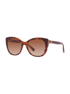 Солнечные очки COACH 0HC8365U, охра/темно-коричневый