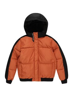 Зимняя куртка Calvin Klein, коричневый