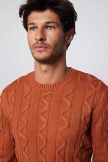 Мужской приталенный свитер с круглым вырезом и рисунком корицы TUDORS