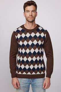 Мужской свитер Slim Fit с круглым вырезом и рисунком спереди TUDORS, смешанный
