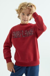 Толстовка Standard Mold Boy с вышивкой красного текста TOMMYLIFE