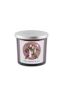 Свеча Fig Leaves & Ivy (200g) Pernici