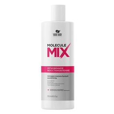 Шампуни YOUR BODY Шампунь для волос Molecule MIX 250.0