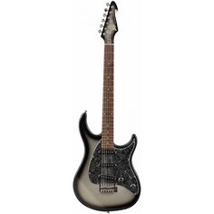 Raptor Custom SLB Peavey