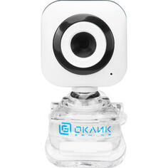 Камера Oklick OK-C8812 белый 0.3Mpix (640x480) USB2.0 с микрофоном (OK-C8812)