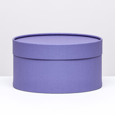 Подарочная коробка фиолетовая, завальцованная без окна, 21х11 см NO Brand