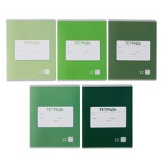 Комплект тетрадей из 10 штук, 12 листов в частую косую линию calligrata