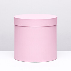 Шляпная коробка нежно розовая, 23 х 23 см NO Brand