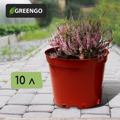 Горшок для рассады, 10 л, d = 29 см, h = 22,5 см, терракот, greengo