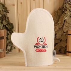 Рукавица NO Brand