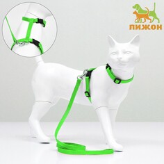 Комплект для кошек, ширина 1 см, ош 16,5-27 см, ог 21-35 см, поводок 120 см, зеленый Пижон