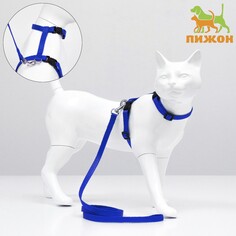 Комплект для кошек, ширина 1 см, ош 16,5-27 см, ог 21-35 см, поводок 120 см, синий Пижон