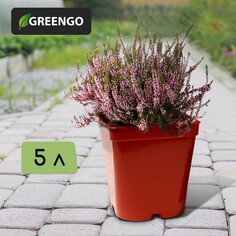 Горшок для рассады, 5 л, d = 18,5 см, h = 20 см, терракот, greengo