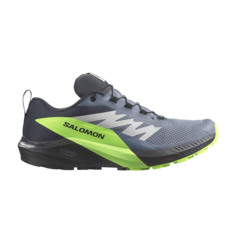 Кроссовки Sense Ride 5 GORE-TEX Salomon, серый