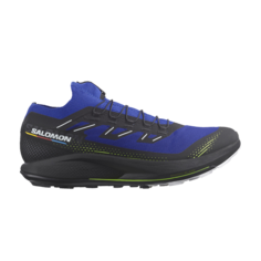 Кроссовки Pulsar Trail Pro 2 Salomon, синий