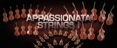 Венская симфоническая библиотека Appassionata Strings I - Полная библиотека Vienna Symphonic Library
