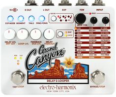 Electro-Harmonix Grand Canyon Delay и педаль лупера