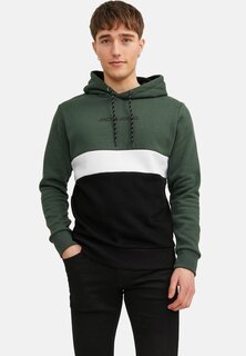 Толстовка с капюшоном JJEREID BLOCKING HOOD Jack &amp; Jones, вид на горы