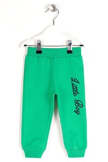 Спортивные штаны для маленьких мальчиков темно-зеленого цвета с принтом и эластичными штанинами Zepkids