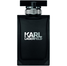 Мужская туалетная вода Karl Lagerfeld Men, 100 мл