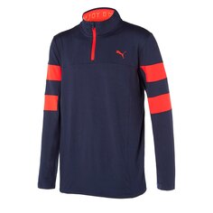 Толстовка Puma Torreyana 1/4 Zip, синий