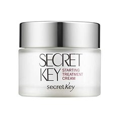 Стартовое лечение, крем для лица, 50 г Secret Key
