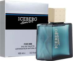 Туалетная вода, 100 мл Iceberg Homme