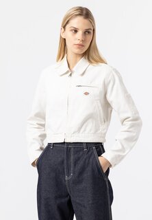 Куртка Dickies ХОЛСТ УТКИ, облако, цвет stone washed cloud