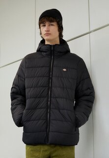 Сумка для развлечений Dickies WALDENBURG MID LAYER, черный