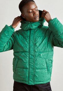 Зимняя куртка Desigual PADDED CALGARY, цвет jungle green