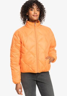 Зимняя куртка Roxy WIND SWEPT-WATTIERTE VERPACKBARE, цвет njf0