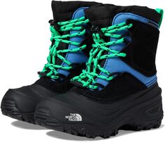 Зимние ботинки Alpenglow V Waterproof The North Face, цвет Optic Blue/TNF Black