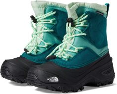 Зимние ботинки Alpenglow V Waterproof The North Face, цвет Harbor Blue/Patina Green