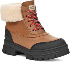 Ботинки на шнуровке Ashton Addie UGG, цвет Chestnut