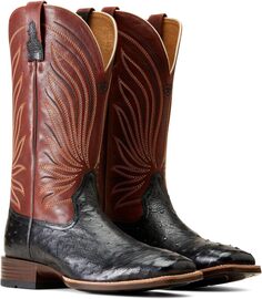 Ковбойские сапоги Brandin&apos; Ultra Western Boot Ariat, цвет Jet Black Full Quill Ostritch