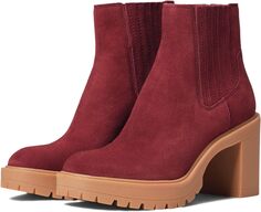 Ботинки Челси Caster H2O Dolce Vita, цвет Maroon Suede H2O