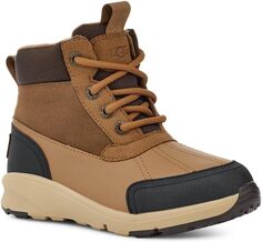 Зимние ботинки Emmett Duck Boot UGG, цвет Chestnut