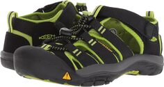 Сандалии Newport H2 KEEN, цвет Black/Lime Green