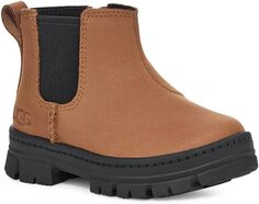 Ботильоны Ashton Chelsea UGG, цвет Chestnut