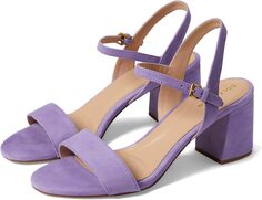 Босоножки Josie Block Heel Sandal (65 mm) Cole Haan, цвет Paisley Purple Suede