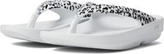 Шлепанцы Oolala Limited OOFOS, цвет White/Black/Leopard