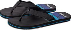 Шлепанцы Ripper Open Toe Sandal Rip Curl, цвет Blue/White