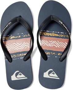 Шлепанцы Molokai Art Quiksilver, серый