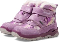 Зимние ботинки 48604 Primigi, фиолетовый