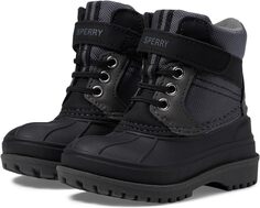 Зимние ботинки Storm Hopper A/C Sperry, цвет Black/Grey