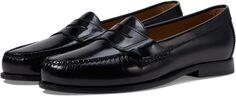 Лоферы Hayes Penny Loafer Johnston &amp; Murphy, черный